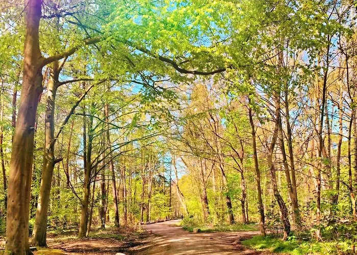 Haus Sommerlust * Ostseebad Kühlungsborn